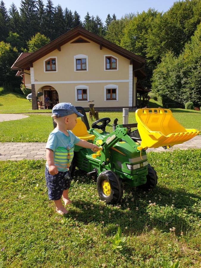 Ferienparadies Truppe Velden am Wörthersee Kültér fotó
